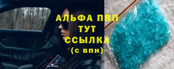 стаф Аркадак
