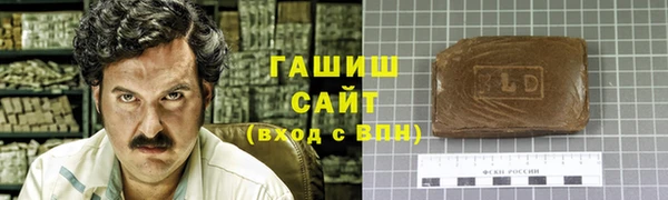 стаф Аркадак