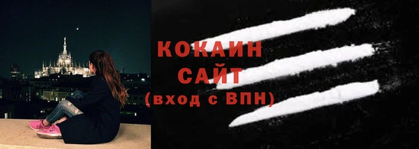 стаф Аркадак