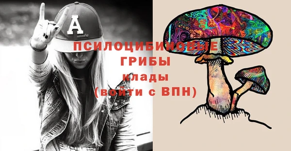 дживик Армянск