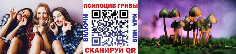 hydra как зайти  Валдай  Псилоцибиновые грибы Psilocybe 
